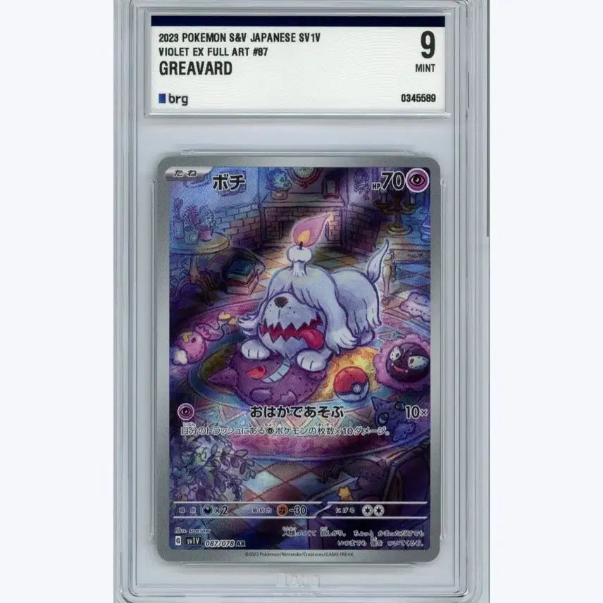 [BUNJANG] Pokemon Card Graveded AR 