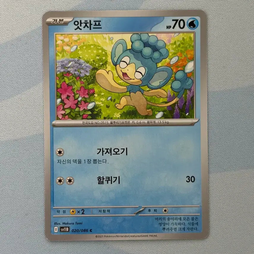 [BUNJANG] Pokemon Card Atta Chap C / 포켓몬카드 앗차프 c