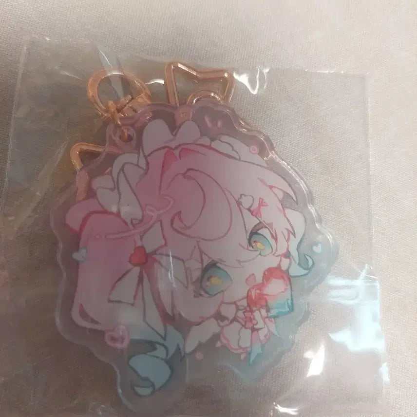 [BUNJANG] Hiakin Unofficial Acrylic Keyring / 넝따 ㄴㄸ님 붕스 히아킨 비공식 아크릴 키링