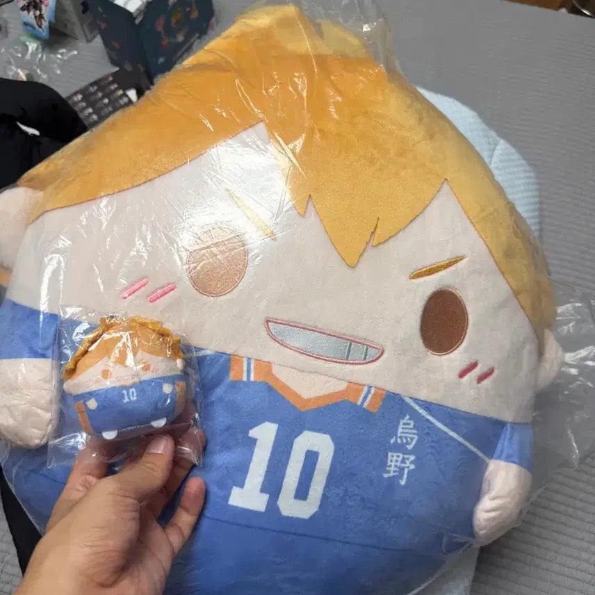 [BUNJANG] Haikyu!! Animate Kuji Mega Fuwa Kororin A Prize Hinata / 하이큐 애니메이트 쿠지 메가 후와코로링 후와 A상 히나타