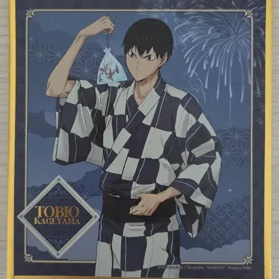 [BUNJANG] Tobio Kageyama Haikyuu!! Acrylic Stand / 카게야마 토비오 (하이큐)