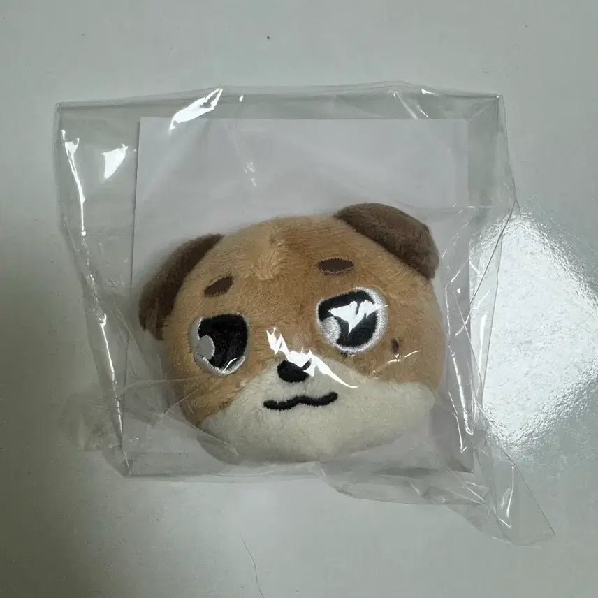 [BUNJANG] Day6 Yokohama Concert Dowoon Badge / 데이식스 요코하마콘 도운 뱃지