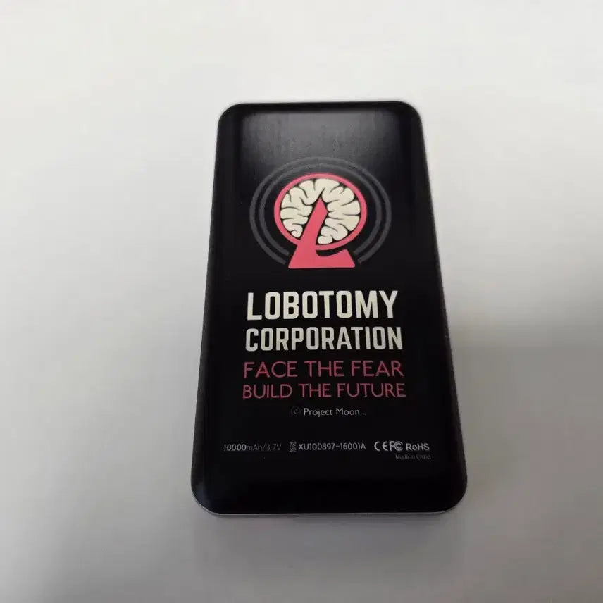 [BUNJANG] Lobotomy Corporation MoFun QnA Battery / 로보토미 모펀 qna 배터리
