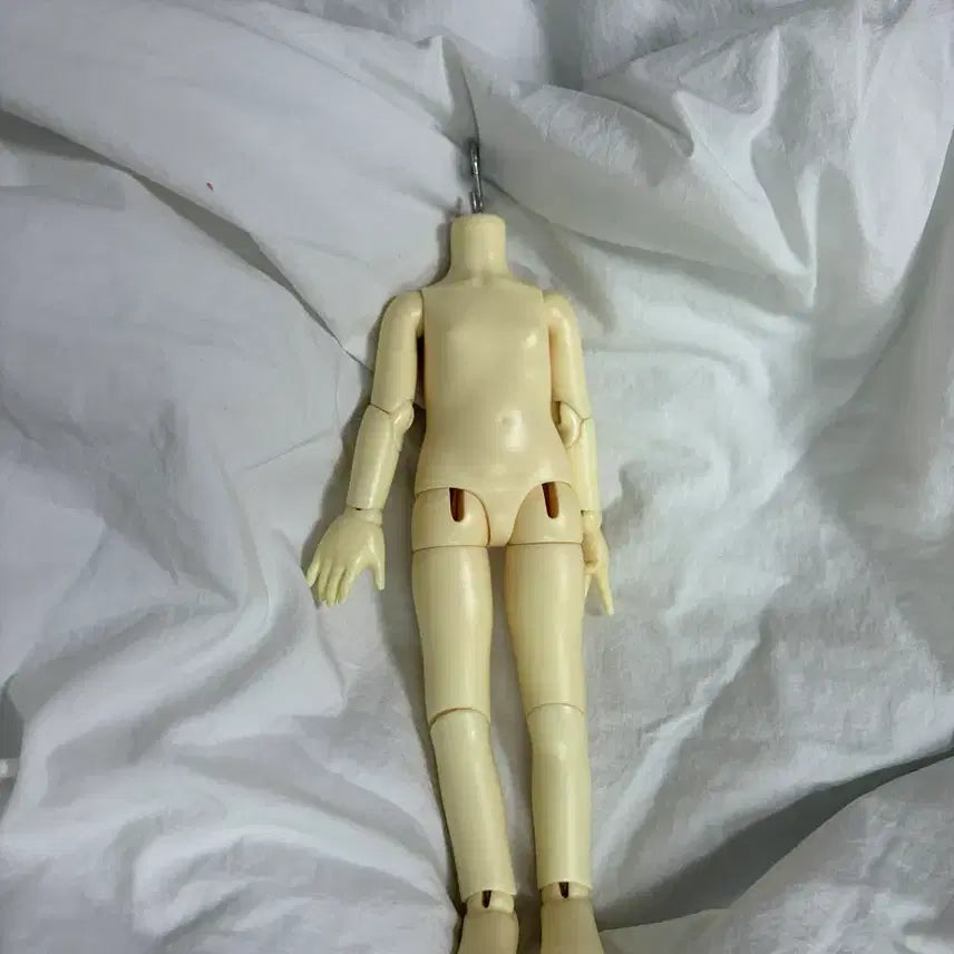 [BUNJANG] LinaShuShu Old Body Ball Jointed Doll Body / 리나슈슈 구바디 판매 / 리나슈슈 바디 판매/ 구관 바디