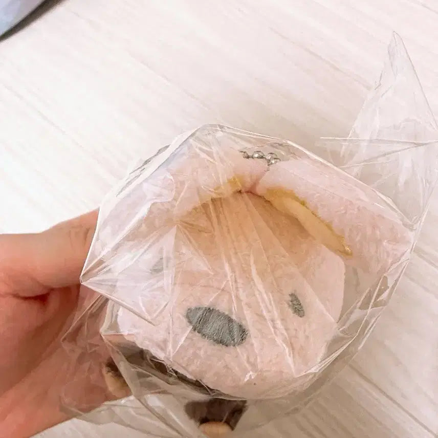 [BUNJANG] Baby Chichi Rabbit Plush / 토끼 베베치치 토끼 베비치치