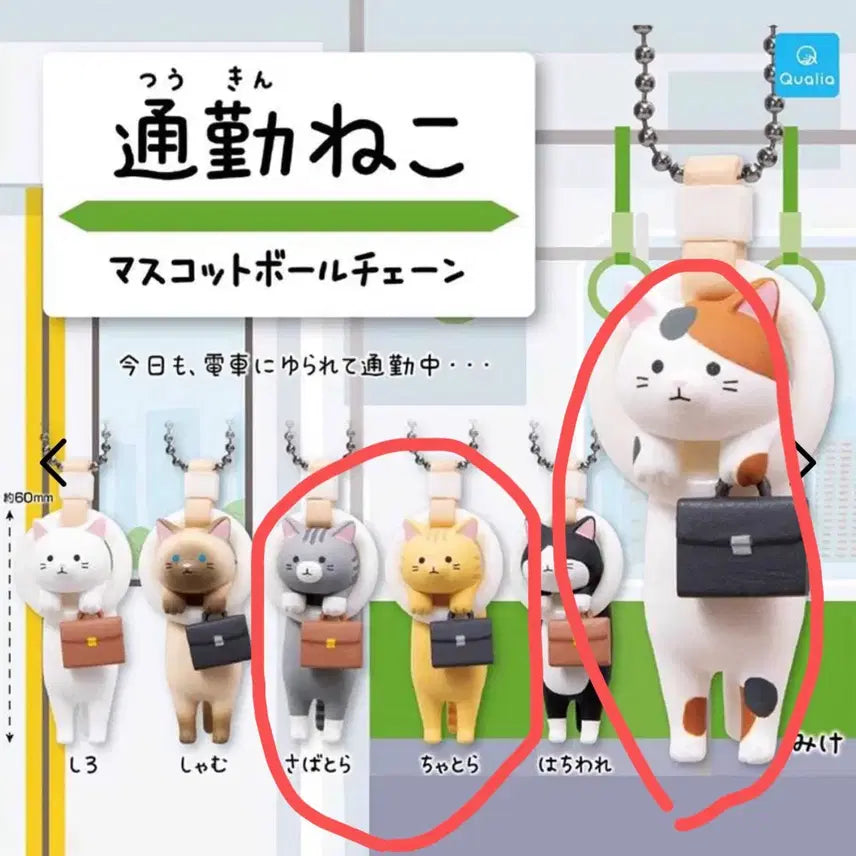 [BUNJANG] Dazzling Nyan Fluffy Cat Figure Series 2 Full Set (6 Types) / 마지막 한 세트 키링 묶음 할인!! (새상품) 눈부신냥 복슬복슬 고양이 피규어 2탄 6종 풀셋+ 출근하는고양이 3종