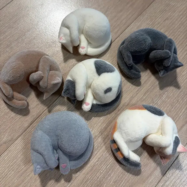 [BUNJANG] Dazzling Nyan Fluffy Cat Figure Series 2 Full Set (6 Types) / 셋 할인!! (새상품) 눈부신냥 복슬복슬 고양이 피규어 2탄 6종 풀셋