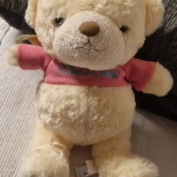 [BUNJANG] Wishwing Bear Plush Pink (Small Size) / (고전)위시윙 곰 인형 핑크(작은 사이즈)