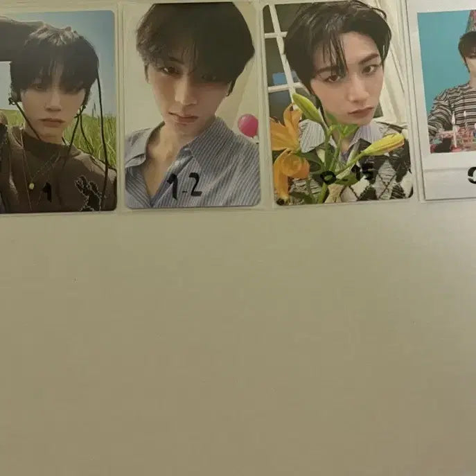 [BUNJANG] BOYNEXTDOOR Taesan Photocard / 보이넥스트도어 태산 포토카드