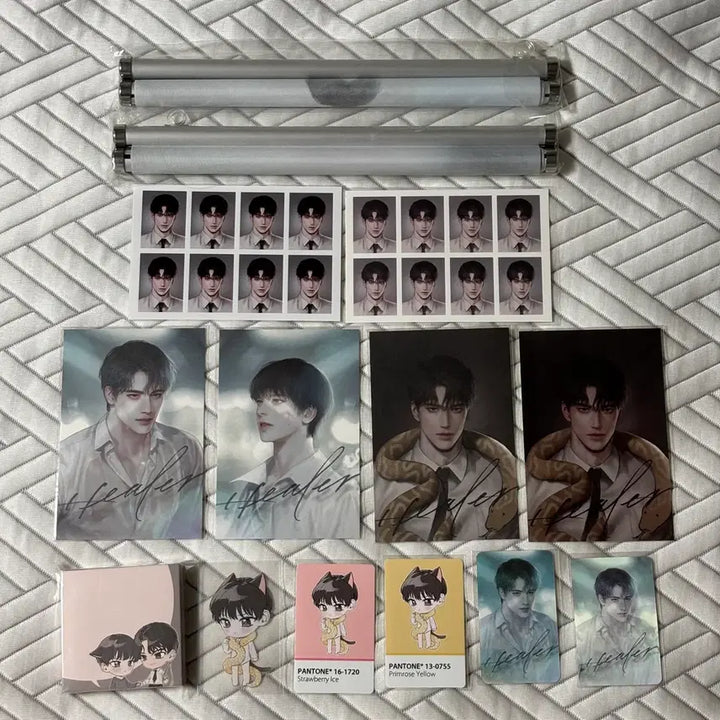 [BUNJANG] Healer Delta Full Goods Set - Scroll, Tapestry, Photocard, Postcard, ID Photo / 힐러 델타님 굿즈 세트 족자봉 태피스트리 포카 엽서 증사 메카니스트