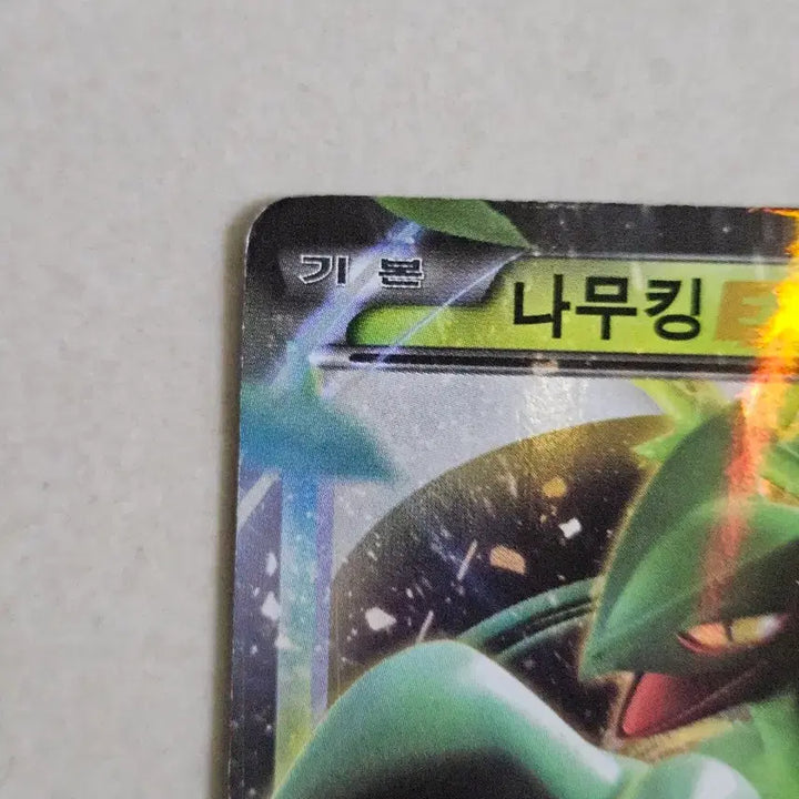 [BUNJANG] Classic Pokemon Card XY Series Trevenant EX / 2017년 고전포켓몬카드 XY시리즈 나무킹 EX