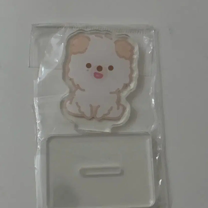 [BUNJANG] Day6 Tanning Merch Don Acrylic Stand / 데이식스 태닝멀즈 돈