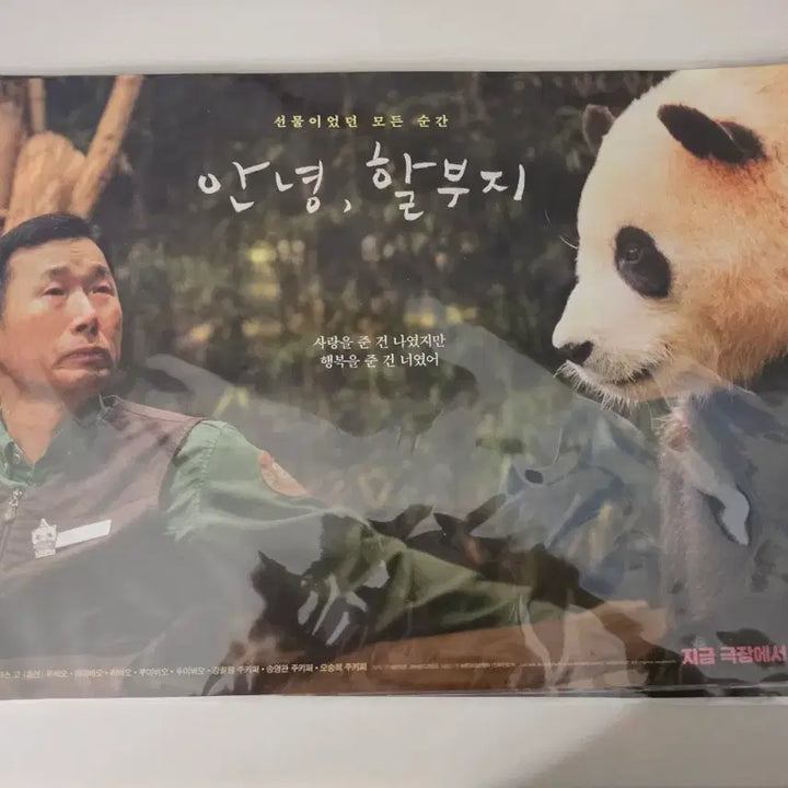 [BUNJANG] Fu Bao Poster Bundle Set / 안녕 할부지 푸바오 포스터(일괄)