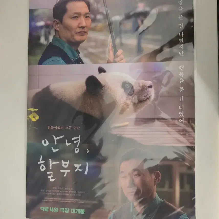 [BUNJANG] Fu Bao Poster Bundle Set / 안녕 할부지 푸바오 포스터(일괄)