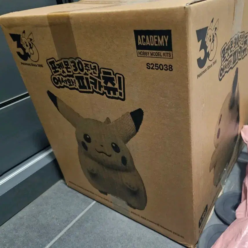 [BUNJANG] Pokemon 30th Anniversary Chubby Pikachu Plush (Sealed) / 어서와피카츄 뚱카츄 미개봉신품