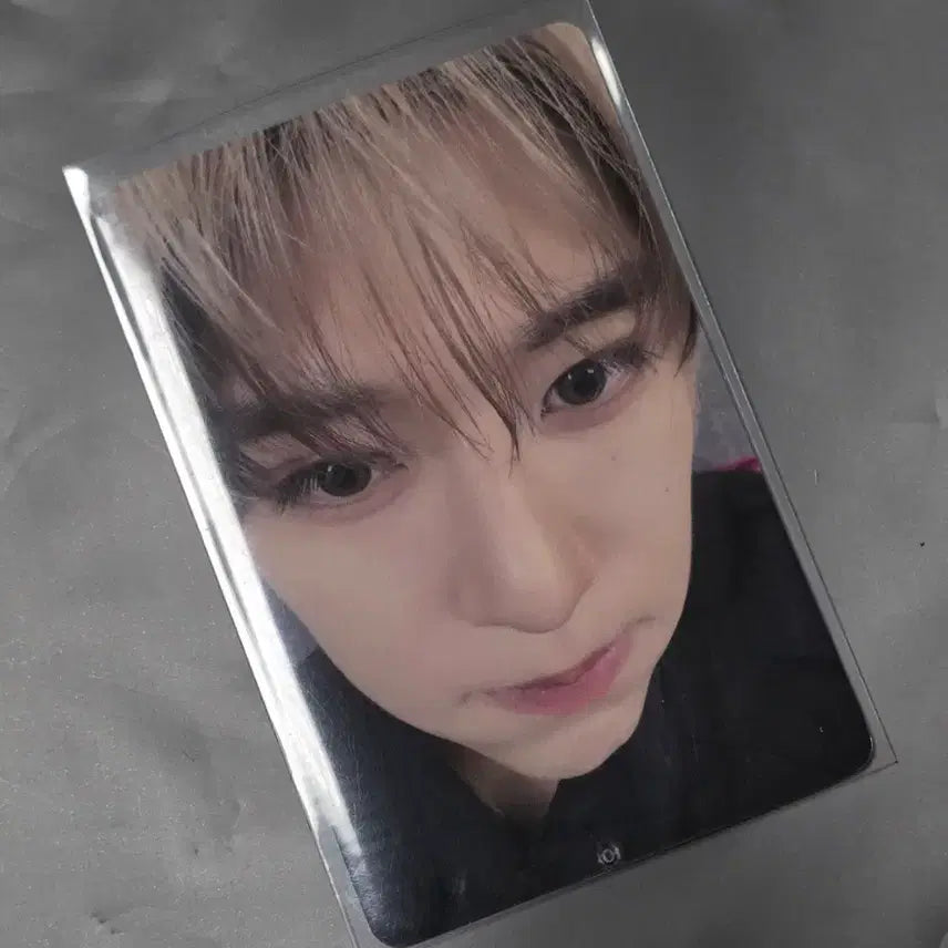 [BUNJANG] NCT WISH Sichen Photocard / 엔시티위시 스테디 이즈위 시온
