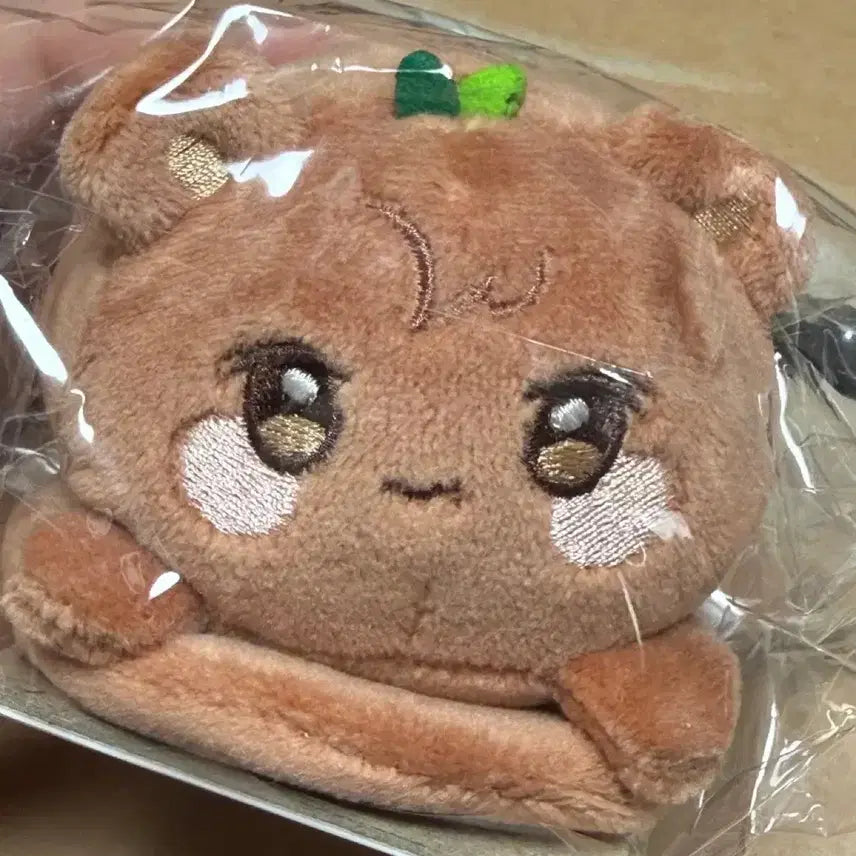 [BUNJANG] ATEEZ JONGHO Bear Magnetic Shoulder Stress Ball (Sealed) / (포카ㅇ/미개봉/새상품) 애니티즈 쫑베어 마그네틱 숄더 스트레스볼