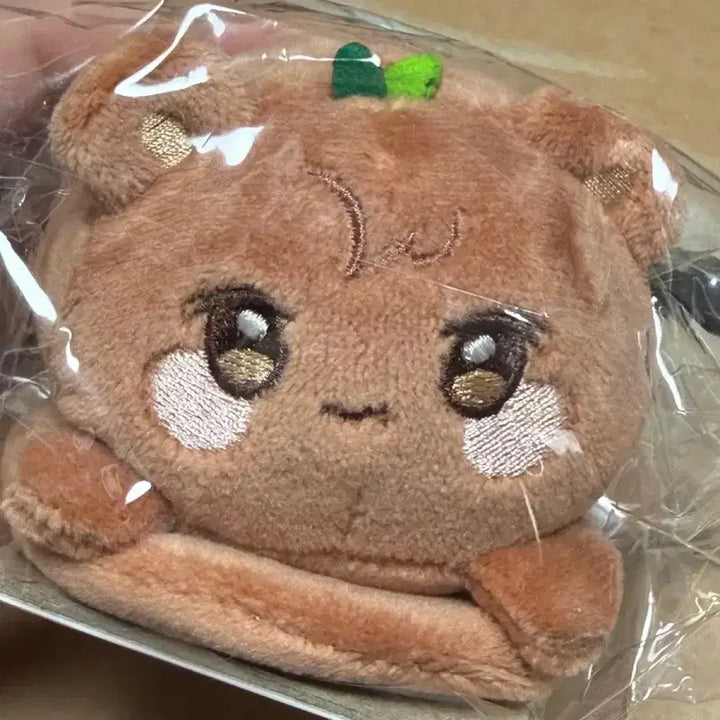 [BUNJANG] ATEEZ JONGHO Bear Magnetic Shoulder Stress Ball (Sealed) / (포카ㅇ/미개봉/새상품) 애니티즈 쫑베어 마그네틱 숄더 스트레스볼