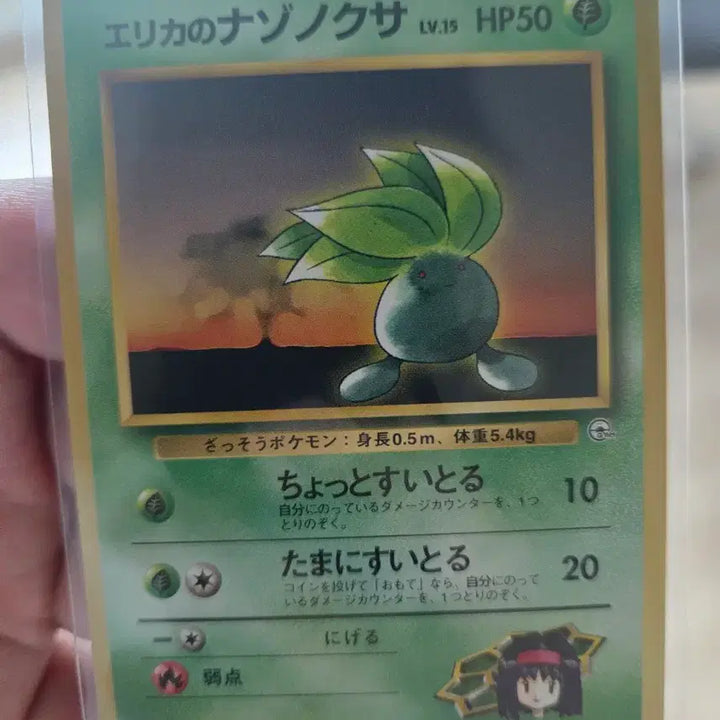 [BUNJANG] Pokemon Cards Vintage Japanese Old Back 7 Card Bundle Set 1996 / 포켓몬카드 빈티지 일판 1996 올드백 7종류 일괄판매합니다