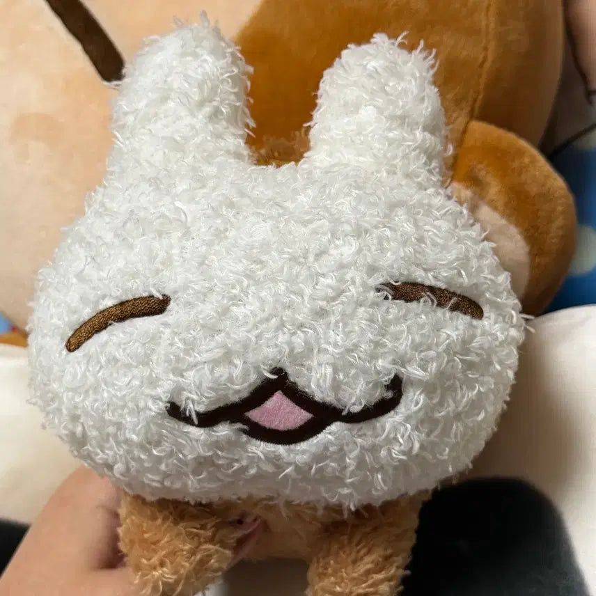 [BUNJANG] San-X Usarusan Plush Toy (Vintage) / (할인) 일본 고전 산엑스 뽀글이 우사루상 인형