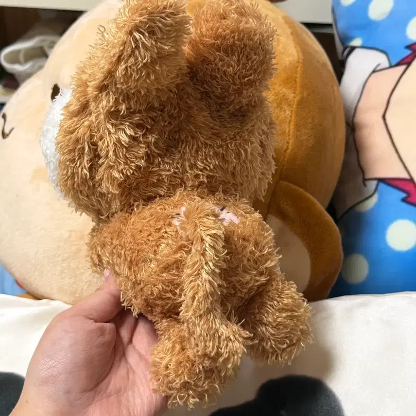 [BUNJANG] San-X Usarusan Plush Toy (Vintage) / (할인) 일본 고전 산엑스 뽀글이 우사루상 인형