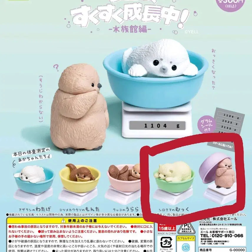 [BUNJANG] YELL Aquarium Baby Animals Growth Gacha Penguin, Polar Bear Figures / YELL 아쿠아리움 수족관 아기 동물 오늘도 무럭무럭 성장중 가챠 펭귄, 북극곰
