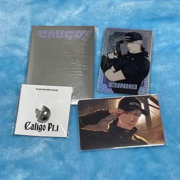 [BUNJANG] PLAVE Eunho Kalpato Photocard Album / 플레이브 은호 칼파투 포카앨범