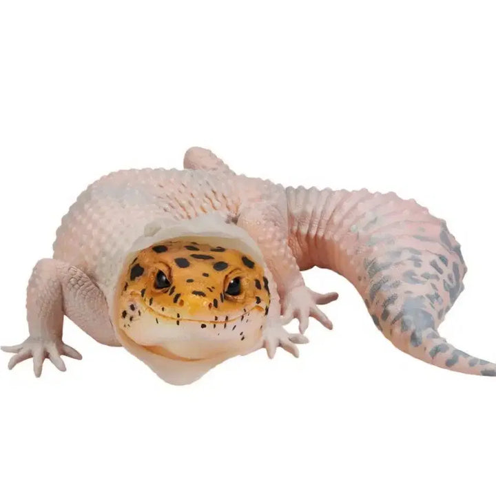 [BUNJANG] Ichiban Kuji Reptiles &amp; Amphibians Tiny Friends B Prize LeoPard Gecko (Shedding) Sealed / (미개봉) 이치방쿠지 파충류 &amp; 양서류 tiny friends B상