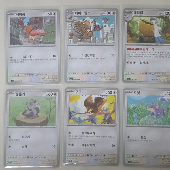 [BUNJANG] Pokemon Normal Cards 6 Cards / 포켓몬 카드 노말 카드 6장 일반