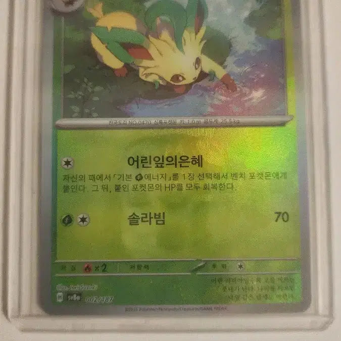 [BUNJANG] Lugia Master Ball / 리피아 마스터볼
