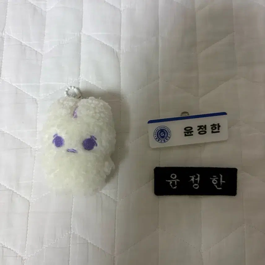 [BUNJANG] Jeonghan Name Tag &amp; 8cm Doll Bundle Set / 걱쫑이 8cm &amp; 윤정한 이름표