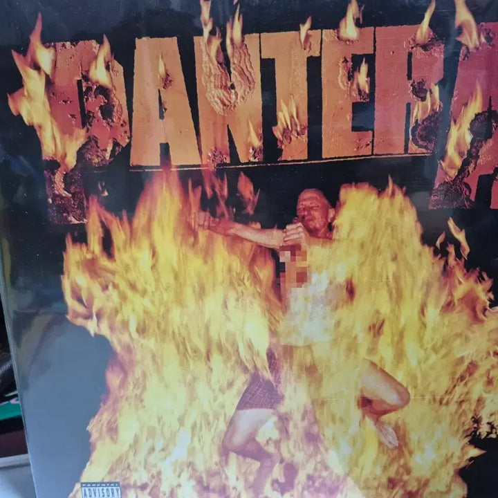 [BUNJANG] Pantera Reinventing the Steel LP / pantera. Reinventing the steel . Lp
