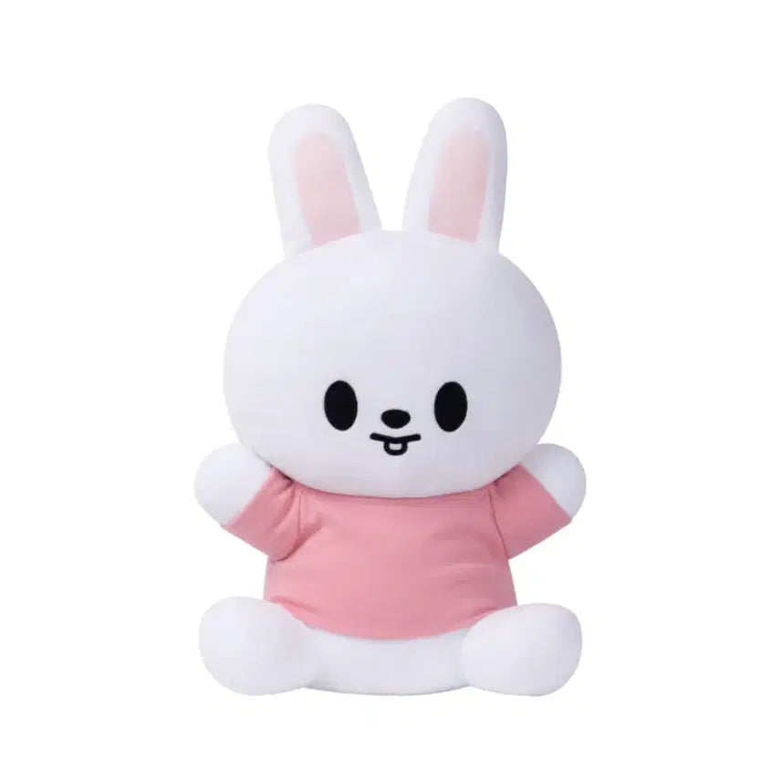 [BUNJANG] Stray Kids Lee Know Rabbit Hug Me Photocard (Sealed) / 미개봉) 스키즈 리노 리빗 허그미 스트레이키즈 skz 스키주 나안아
