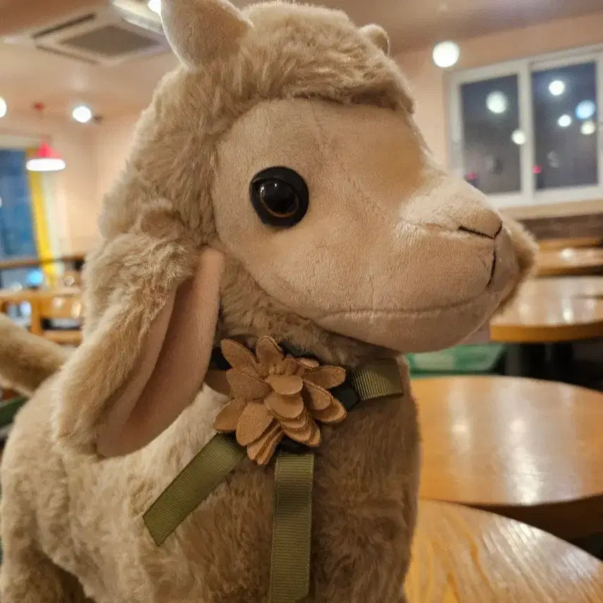 [BUNJANG] XTOP Prize Store Mongsil Sheep Plush 40cm / 몽실이 산양 인형 40cm 새상품 (XTOP 프라이즈스토어)