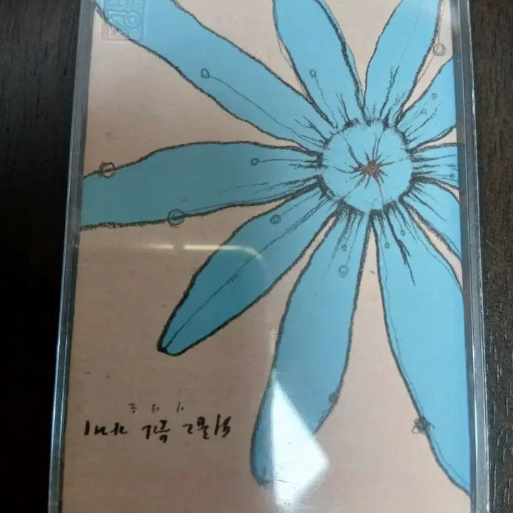 [BUNJANG] Lee Sang Eun Cassette Tape / 이상은 카세트테이프