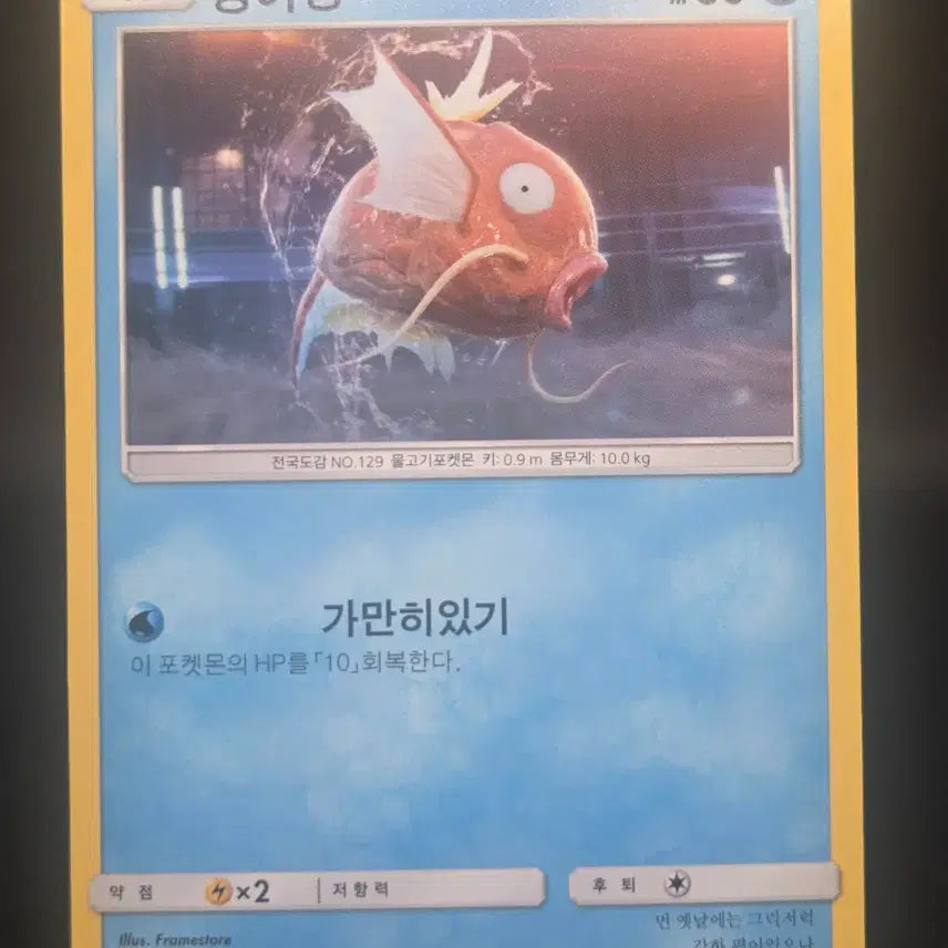 [BUNJANG] Detective Pikachu Magikarp North America + Spain + Korean Set / 명탐정 피카츄 잉어킹 8/18 북미 + 스페인+ 한글판 세트