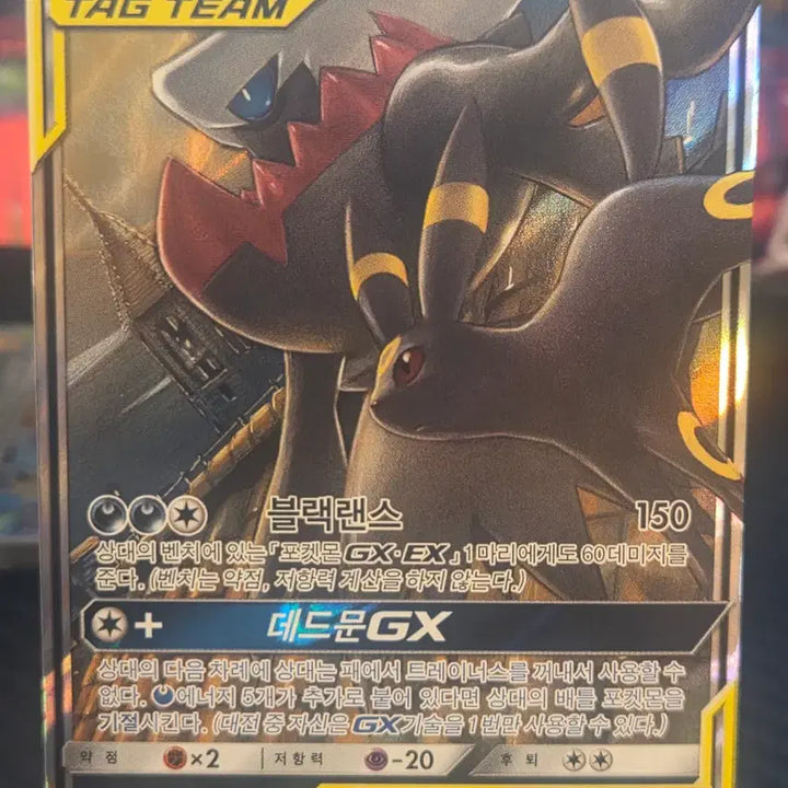 [BUNJANG] Pokemon TCG Korean Tag Team GX Blacky &amp; Darkrai GX 010/031 / 포켓몬 카드 한글판 태그팀 블래키&amp;다크라이 GX 010/031