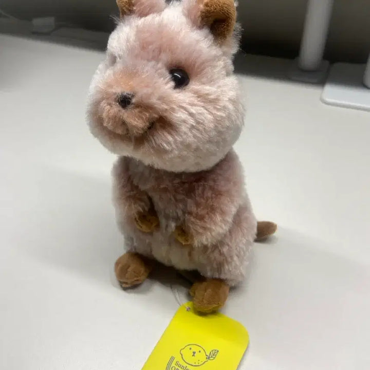 [BUNJANG] Sunlemon Genuine Fluffy Animal Baby Quokka Doll / 선레몬 정품 플러피애니멀 아기 동물 쿼카 인형
