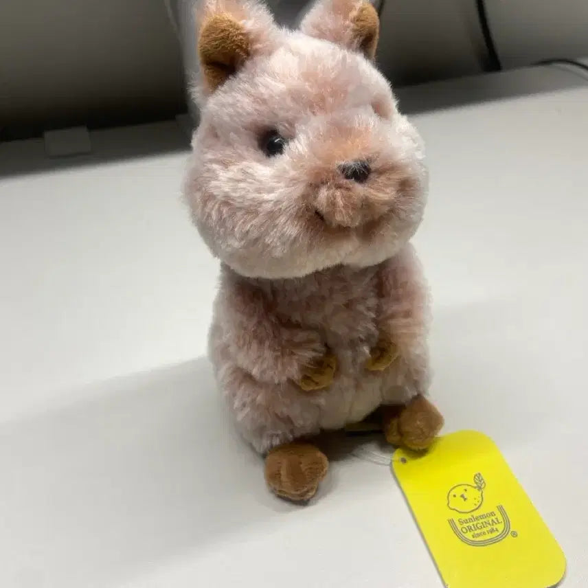 [BUNJANG] Sunlemon Genuine Fluffy Animal Baby Quokka Doll / 선레몬 정품 플러피애니멀 아기 동물 쿼카 인형