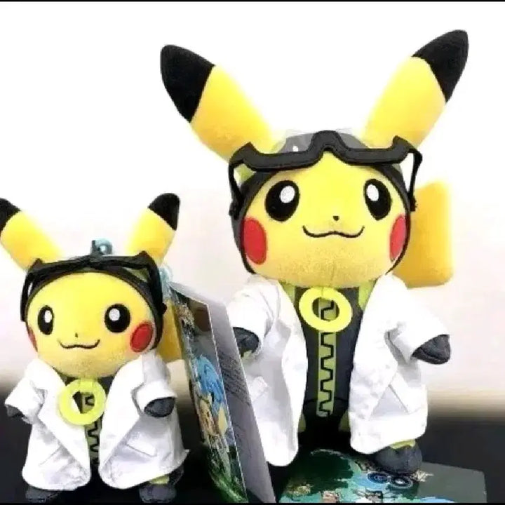 [BUNJANG] Pokemon Professor Willow&