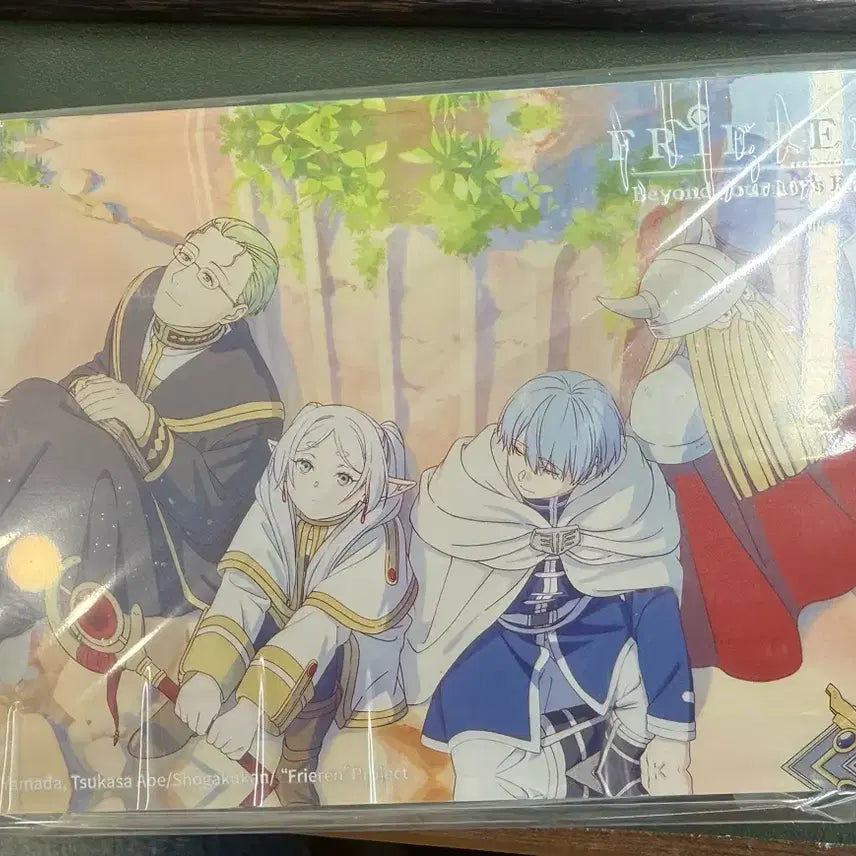 [BUNJANG] Frieren: Beyond Journey&