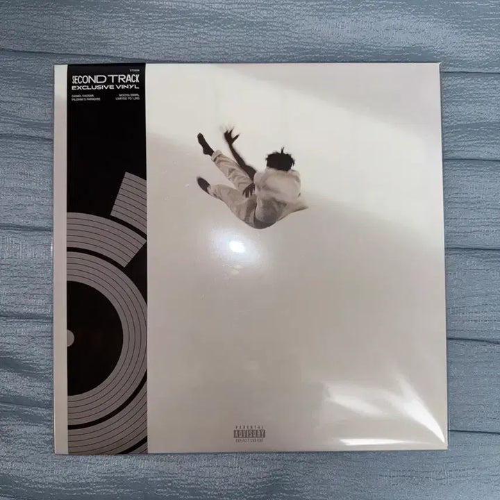 [BUNJANG] Daniel Caesar Pilgrims Paradise Swirl Vinyl LP / [미개봉] 다니엘 시저 Pilgrims Paradise 스월반 LP