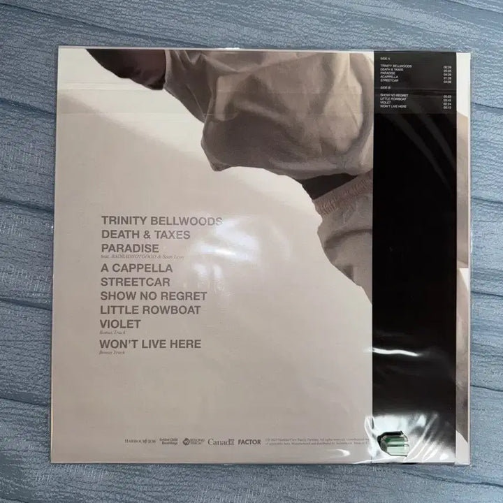 [BUNJANG] Daniel Caesar Pilgrims Paradise Swirl Vinyl LP / [미개봉] 다니엘 시저 Pilgrims Paradise 스월반 LP