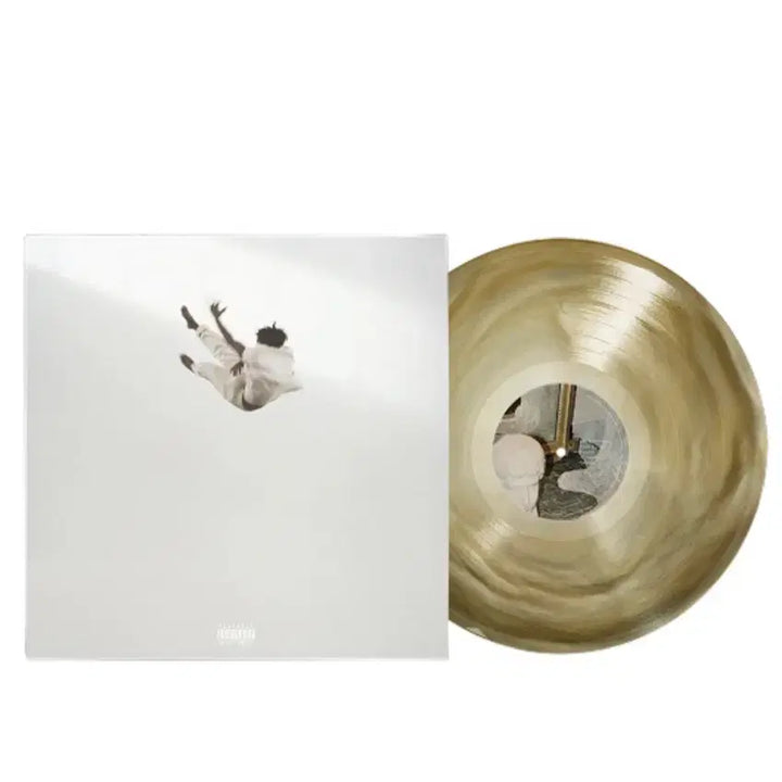[BUNJANG] Daniel Caesar Pilgrims Paradise Swirl Vinyl LP / [미개봉] 다니엘 시저 Pilgrims Paradise 스월반 LP