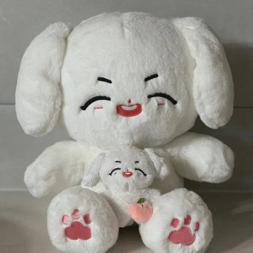 [BUNJANG] Lee Changsub Wangdaengseob Dangdangseob Plush Dolls Bundle Set (Sealed) / 이창섭 창섭 왕댕섭 댕댕섭 미개봉 인형 일괄
