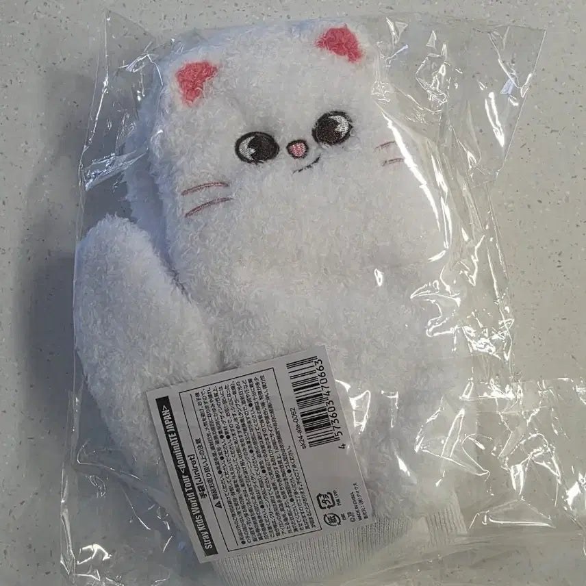 [BUNJANG] Stray Kids Genielet Gloves Japan Tour DOMINATE JAPAN / 스키즈 일본굿즈정품 지니렛 장갑 스키주