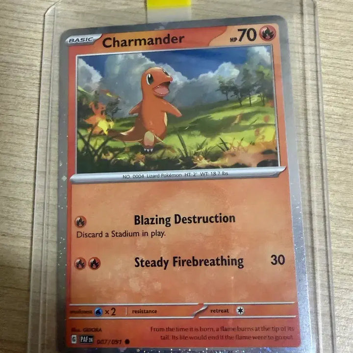 [BUNJANG] Pokemon Card North American Charizard ex Set (English) / 포켓몬카드 북미 파이리 리자드 리자몽ex 3종세트(영판)