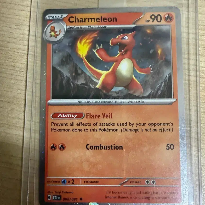 [BUNJANG] Pokemon Card North American Charizard ex Set (English) / 포켓몬카드 북미 파이리 리자드 리자몽ex 3종세트(영판)