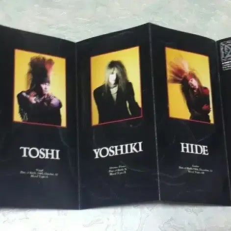[BUNJANG] X-JAPAN Endless Rain First Press Limited Edition Single CD / X-JAPAN ENDLESS RAIN 병풍형 초회한정 Single