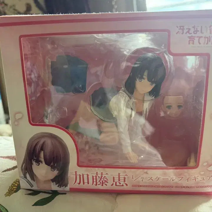 [BUNJANG] Aniplex Limited Saekano: How to Raise a Boring Girlfriend Megumi Kato Figure / 애니플렉스 한정 시원찮은 그녀를 육성하는 방법 카토 메구미
